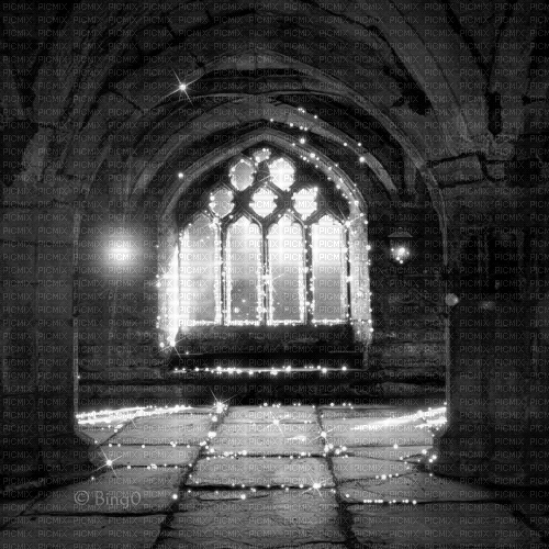 Y.A.M._Gothic Fantasy Interior black-white - Bezmaksas animēts GIF