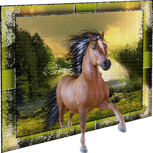 pferd horse milla1959 - Бесплатный анимированный гифка