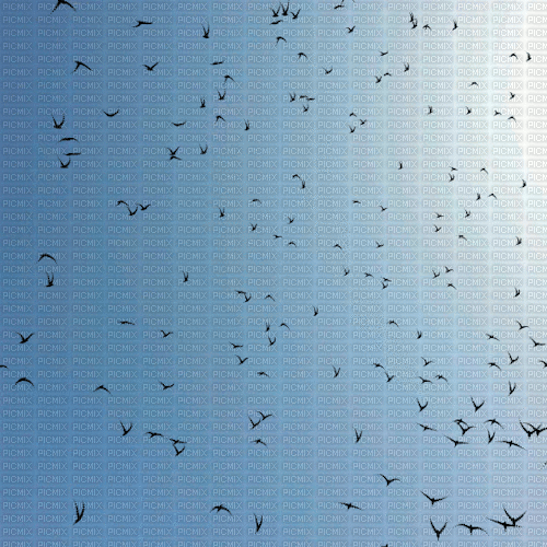 Flying birds gif - GIF animado grátis