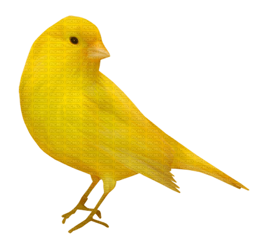 Bird.Yellow - 免费PNG