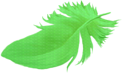 feder grün green - 免费PNG