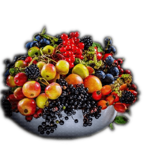 Rena Obstkorb Fruits - gratis png