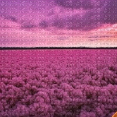 Pink Yarn Field - фрее пнг