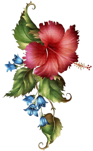 tropical, flowers - δωρεάν png