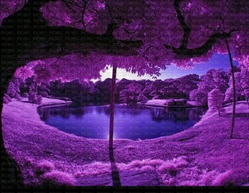 purple - ilmainen png
