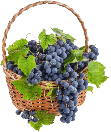 Weintrauben, Korb, Grapes - darmowe png