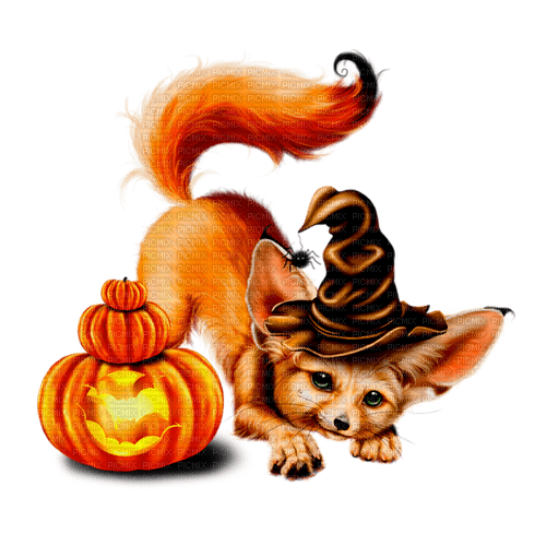 halloween fox by nataliplus - nemokama png