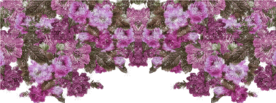 divider fleurs sophiejustemoi - Бесплатный анимированный гифка