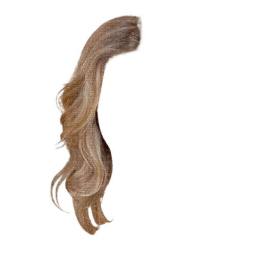 cheveux - zdarma png