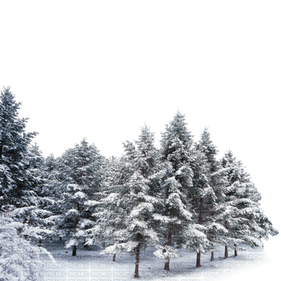 winter landscape bp - zdarma png