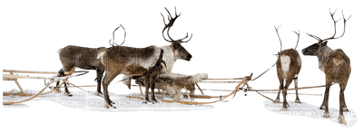 Kaz_Creations Christmas Deco - besplatni png