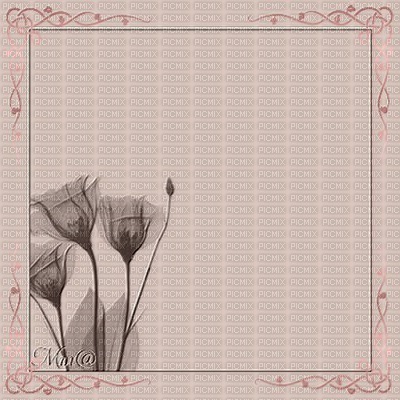 Bg-pink-brown flowers - 無料png