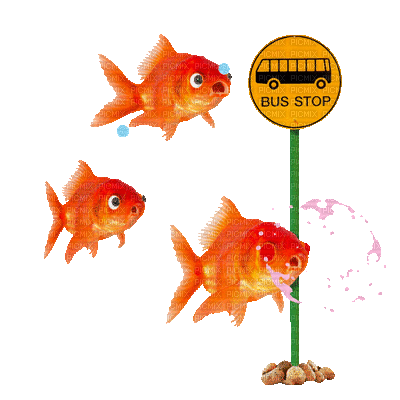fish fisch poisson fun summer ete  bubbles bulles water sea mer meer ocean underwater undersea  gif anime animated animation tube sous l'eau - Animovaný GIF zadarmo
