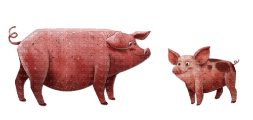 Cerdos rosados - nemokama png