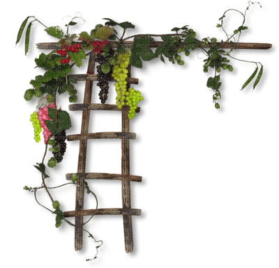 Kaz_Creations Ladders - Free PNG
