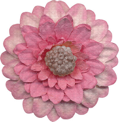 pink flower 3 - zadarmo png