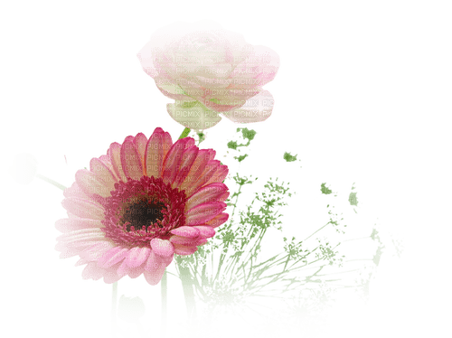 Flowers Transparent - PNG gratuit
