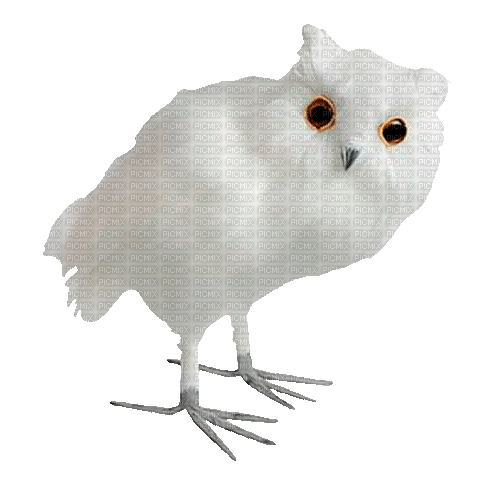 winter owl by nataliplus - GIF animé gratuit