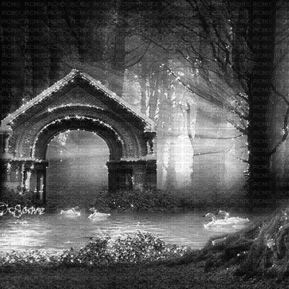 soave background animated fantasy gothic forest - Nemokamas animacinis gif