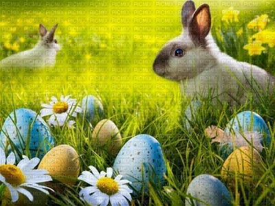 Easter Bunny with Eggs - фрее пнг