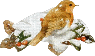 BIRD WINTER. - GIF animate gratis