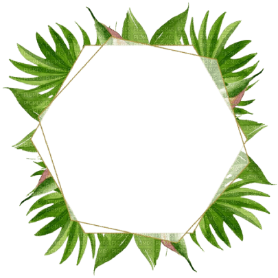 kikkapink palm tree green tropical frame - png gratis