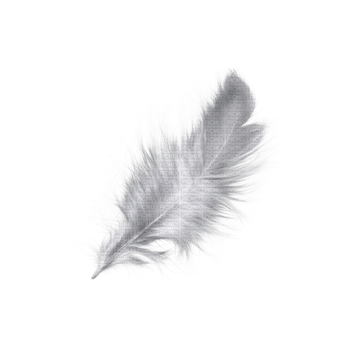 kikkapink deco scrap white feather - безплатен png