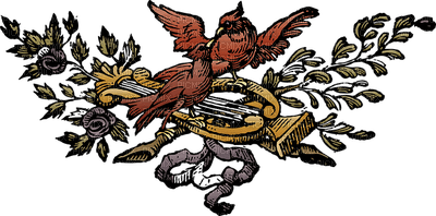 birds, decoration, koriste, linnut - PNG gratuit