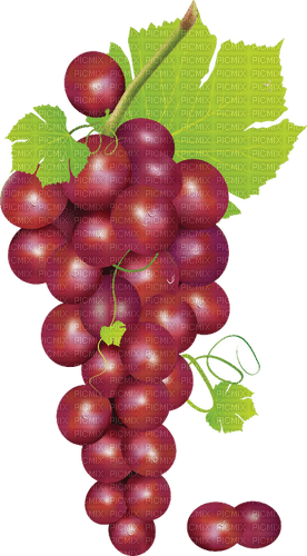 grapes Bb2 - фрее пнг