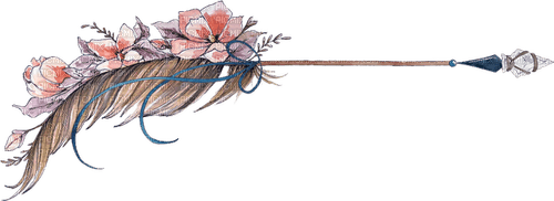 feather Bb2 - bezmaksas png