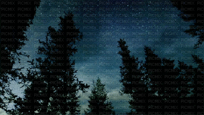 fondo gif by EstrellaCristal - Besplatni animirani GIF