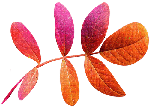 Leaves.Purple.Orange - 免费PNG