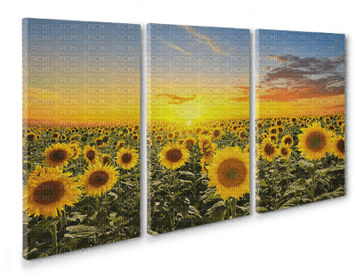 picture panels wall art bp - δωρεάν png