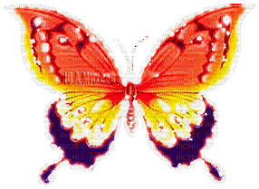 Y.A.M._Fantasy Butterfly - Ingyenes animált GIF