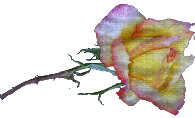 flower wavy - Gratis animeret GIF