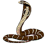 Cobra - GIF animado grátis