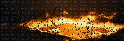maisema landscape syksy autumn sky - PNG gratuit