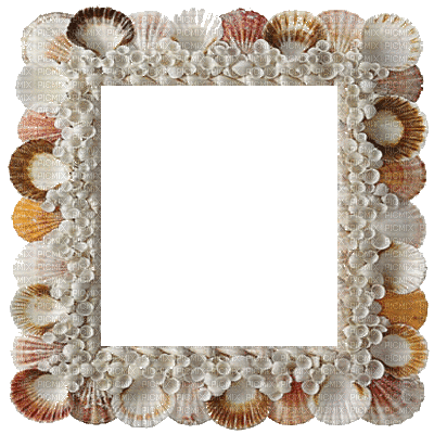 frame cadre rahmen tube muschel shell shellfish coquille sea meer mer ocean océan ozean  fish  summer ete beach plage sommer - Gratis animeret GIF