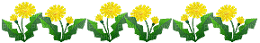 dandelion flowers - GIF animado grátis