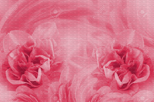 bg--rosa--pink--blommor - Gratis geanimeerde GIF