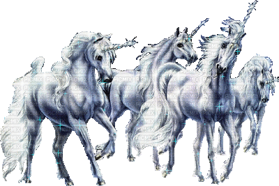Unicorn, licorne, Einhorn - Бесплатный анимированный гифка