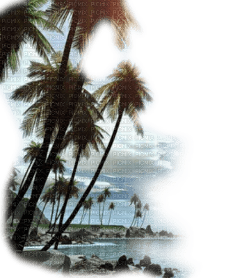 paysage - PNG gratuit