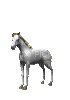 Horse - Nemokamas animacinis gif