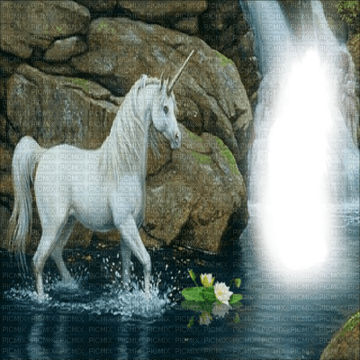 unicorn licorne - gratis png