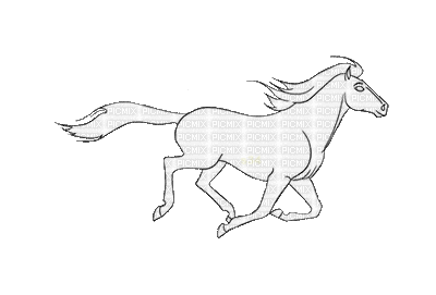 aze cheval s34 noir black blanc White - Бесплатни анимирани ГИФ