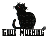 MMarcia gif  Good Morning Bom dia cat black - 無料のアニメーション GIF