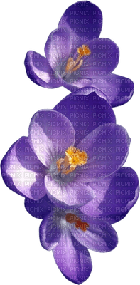 Kaz_Creations Deco Flowers Flower  Purple - zdarma png