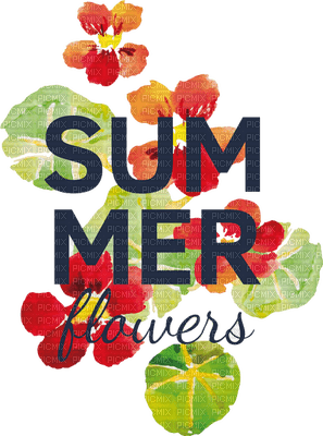 LOLY33 TEXTE SUMMER - gratis png
