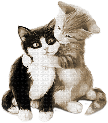soave deco valentine animals cat dog friends sepia - PNG gratuit