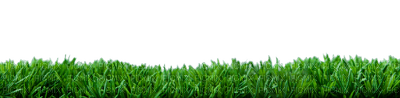 Herbe - 無料png